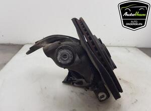 Stub Axle AUDI A6 Avant (4G5, 4GD, C7), AUDI A7 Sportback (4GA, 4GF), AUDI Q5 (8RB), AUDI Q5 Van (8RB)