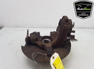 Stub Axle VW POLO (6R1, 6C1), SKODA FABIA II (542), SKODA FABIA I Combi (6Y5), SEAT CORDOBA (6L2)