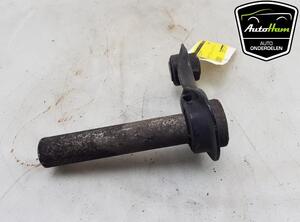 Track Control Arm BMW X5 (E70)