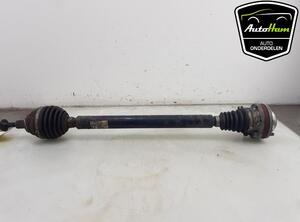 Drive Shaft VW GOLF VII (5G1, BQ1, BE1, BE2)