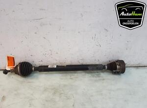 Drive Shaft SEAT ALTEA (5P1), SEAT ALTEA XL (5P5, 5P8), SEAT TOLEDO III (5P2), SEAT LEON (1P1)