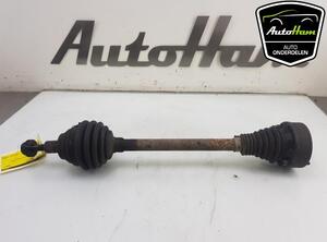 Drive Shaft VW GOLF PLUS (5M1, 521), VW GOLF V (1K1), AUDI A3 (8P1), AUDI A3 Sportback (8PA)