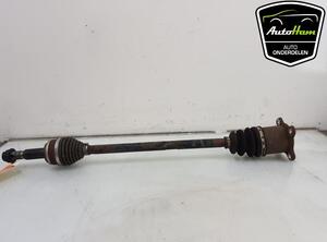 Drive Shaft TOYOTA RAV 4 IV (_A4_)