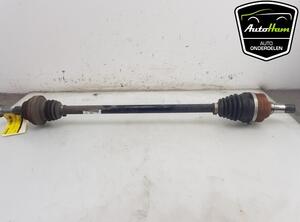 Drive Shaft CUPRA BORN (K11)