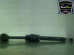 Drive Shaft FORD FOCUS (DAW, DBW)