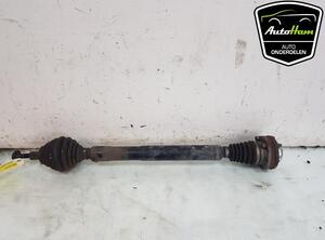 Drive Shaft AUDI A3 (8P1), AUDI A3 Sportback (8PA), VW GOLF V (1K1)