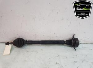 Drive Shaft VW GOLF VI (5K1), VW TIGUAN (5N_), VW GOLF V (1K1), VW TIGUAN VAN (5N_)