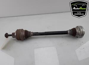 Drive Shaft AUDI Q5 (FYB, FYG)