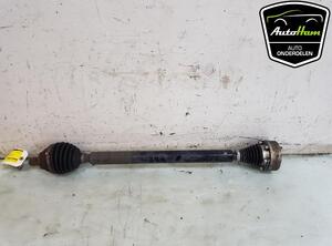 Drive Shaft AUDI A3 (8P1)