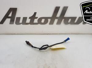 Lambda Sensor / NOx Sensor FORD FOCUS II (DA_, HCP, DP), FORD FOCUS C-MAX (DM2), FORD C-MAX (DM2)