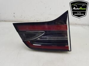 Combination Rearlight TESLA MODEL X (5YJX)