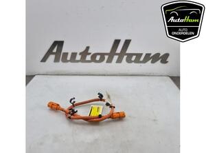 Wiring Harness CUPRA LEON (KL1, KU1), CUPRA FORMENTOR (KM7), SKODA OCTAVIA IV Combi (NX5)