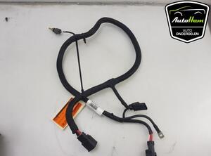 Wiring Harness VOLVO V60 II (225)