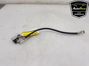 Sensor BMW Z4 E89 61217616199 P20255403