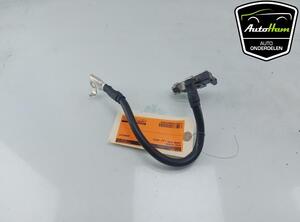 Sensor Cupra Born K11 1EA915181B P18271374