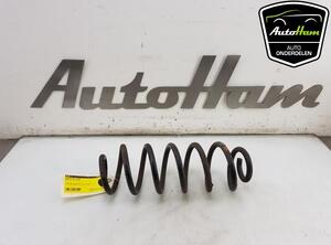 Coil Spring AUDI Q5 (8RB), AUDI Q5 Van (8RB)