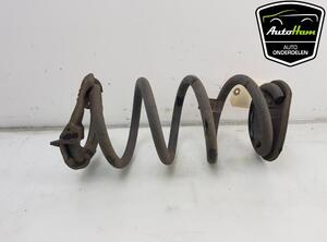 Coil Spring TESLA MODEL 3 (5YJ3)