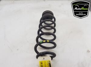 Coil Spring AUDI Q5 (8RB), AUDI Q5 Van (8RB)