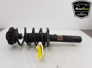 Suspension Strut SEAT ALTEA (5P1), SEAT ALTEA XL (5P5, 5P8), SEAT TOLEDO III (5P2), SEAT LEON (1P1)