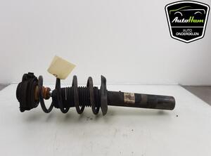 Suspension Strut SEAT ALTEA (5P1), SEAT ALTEA XL (5P5, 5P8), SEAT TOLEDO III (5P2), SEAT LEON (1P1)