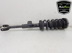 Shock Absorber BMW 5 Touring (G31)