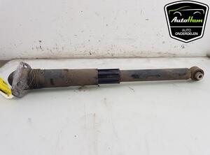 Shock Absorber VW GOLF VII (5G1, BQ1, BE1, BE2)