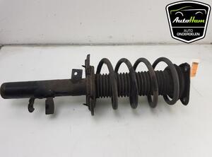 Shock Absorber FORD FOCUS III, FORD C-MAX II (DXA/CB7, DXA/CEU), FORD FOCUS III Turnier