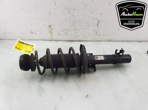 Shock Absorber SKODA FABIA III Estate (NJ5), SKODA RAPID (NH3, NK3, NK6), SKODA RAPID Spaceback (NH1)