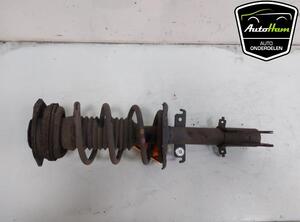 Shock Absorber RENAULT KANGOO Express (FW0/1_)