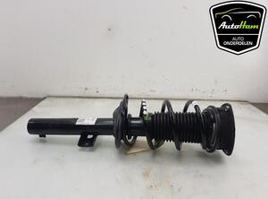 Shock Absorber SKODA FABIA IV (PJ3)