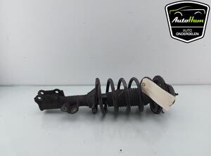 Shock Absorber HYUNDAI i10 (PA)