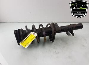 Shock Absorber FORD TRANSIT CONNECT V408 Box Body/MPV, FORD TRANSIT CONNECT MPV