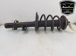 Shock Absorber VW TRANSPORTER VI Van (SGA, SGH, SHA, SHH)