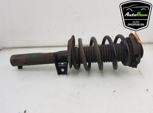 Shock Absorber AUDI A3 (8P1), AUDI A3 Sportback (8PA)