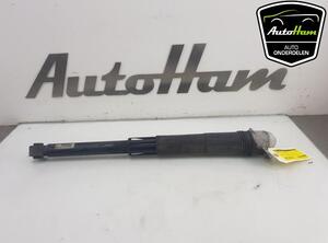 Shock Absorber SEAT LEON (KL1)