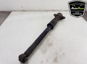 Shock Absorber AUDI A4 Avant (8W5, 8WD, B9), AUDI A5 Sportback (F5A, F5F)