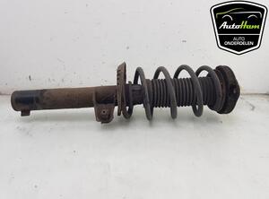 Shock Absorber VW SCIROCCO (137, 138), VW GOLF PLUS (5M1, 521), VW GOLF V (1K1), VW GOLF VI (5K1)