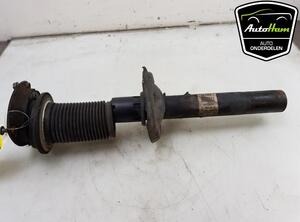 Shock Absorber AUDI A3 Sportback (8VA, 8VF), AUDI A3 Limousine (8VS, 8VM)