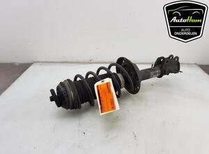 Shock Absorber FIAT GRANDE PUNTO (199_), FIAT PUNTO EVO (199_), FIAT PUNTO (199_)