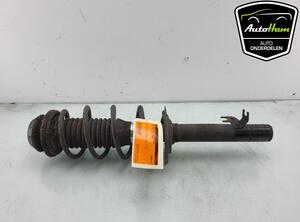 Shock Absorber TOYOTA AYGO (_B1_), CITROËN C1 (PM_, PN_), PEUGEOT 107 (PM_, PN_)