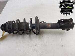 Shock Absorber TOYOTA YARIS (_P13_)