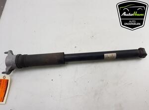 Shock Absorber MERCEDES-BENZ A-CLASS (W177)