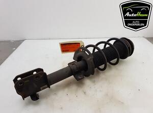 Shock Absorber SUZUKI SWIFT IV (FZ, NZ)