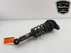 Shock Absorber MINI MINI (R50, R53), MINI MINI (R56)