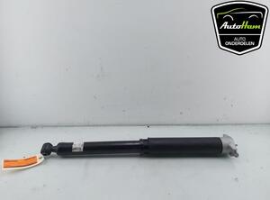 Shock Absorber FORD PUMA (J2K, CF7)