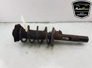 Shock Absorber VW GOLF V (1K1), VW GOLF PLUS (5M1, 521), VW GOLF VI (5K1), VW GOLF VI Van (5K1_)