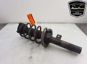 Shock Absorber FORD TRANSIT CONNECT (P65_, P70_, P80_), FORD TRANSIT CUSTOM V362 Van (FY, FZ)