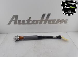 Shock Absorber AUDI A3 Sportback (8YA), AUDI A3 Limousine (8VS, 8VM)