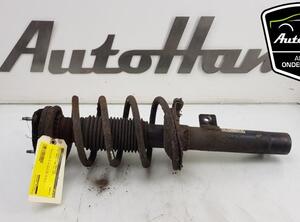 Shock Absorber FORD TRANSIT CUSTOM V362 Van (FY, FZ), FORD TRANSIT CONNECT (P65_, P70_, P80_)