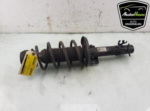 Shock Absorber SKODA FABIA III Estate (NJ5), SKODA RAPID (NH3, NK3, NK6), SKODA RAPID Spaceback (NH1)